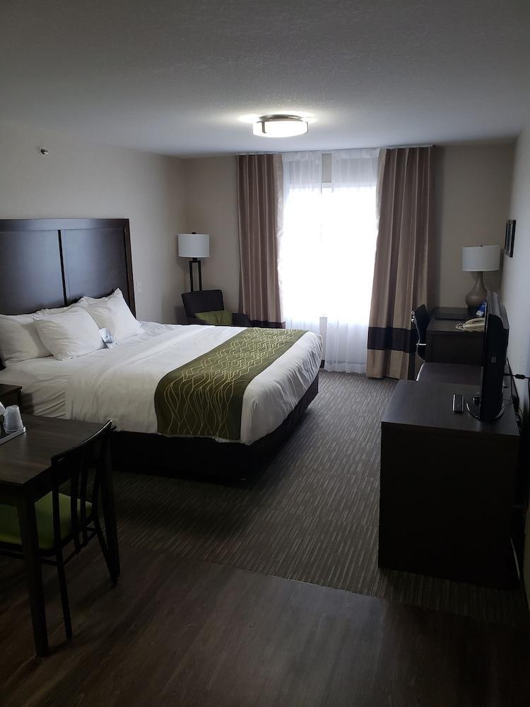 Comfort Inn&Suites Red Deer Buitenkant foto